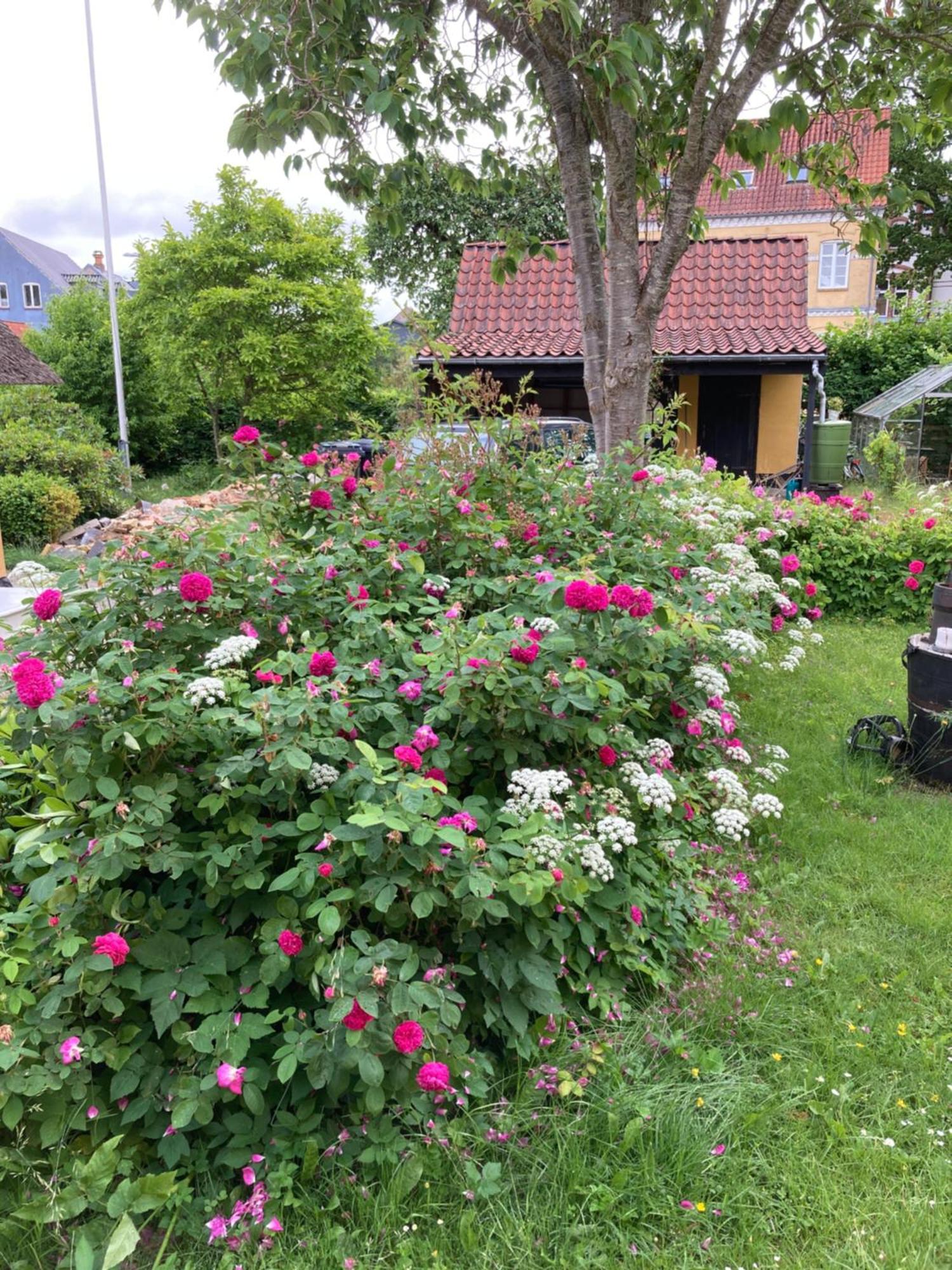 Den Gamle Skomager Hytte Ved Slotssoen Ґростен Екстер'єр фото